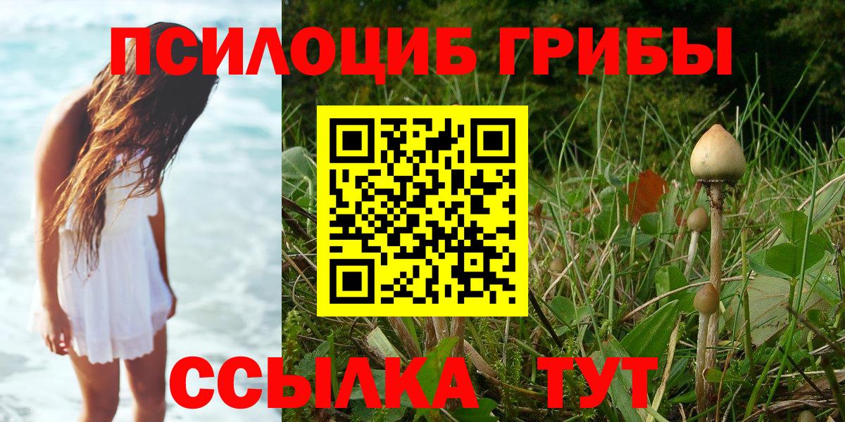 Отрадный  Галлюциногенные грибы Magic Shrooms  Вход с VPN  Псилоцибиновые грибы Psilocybe 