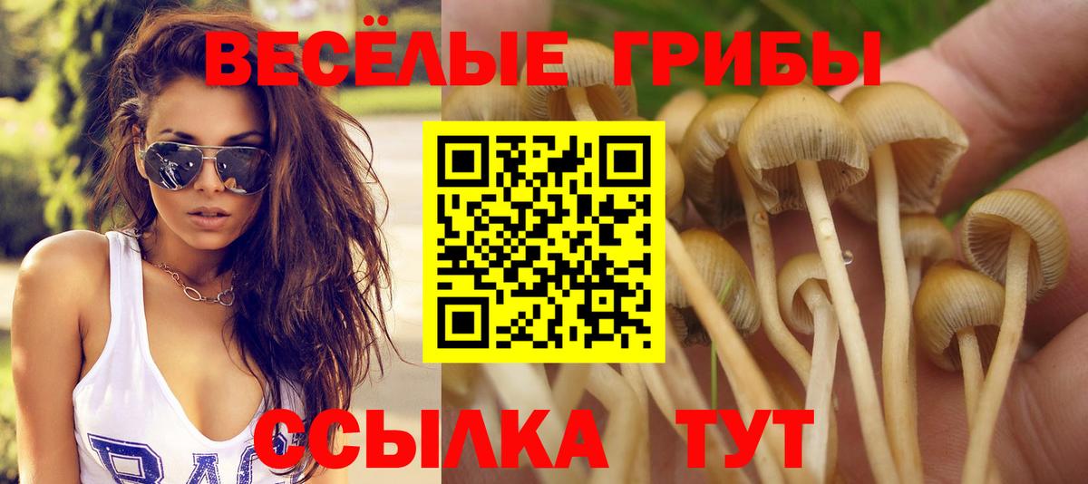 Галлюциногенные грибы GOLDEN TEACHER Отрадный